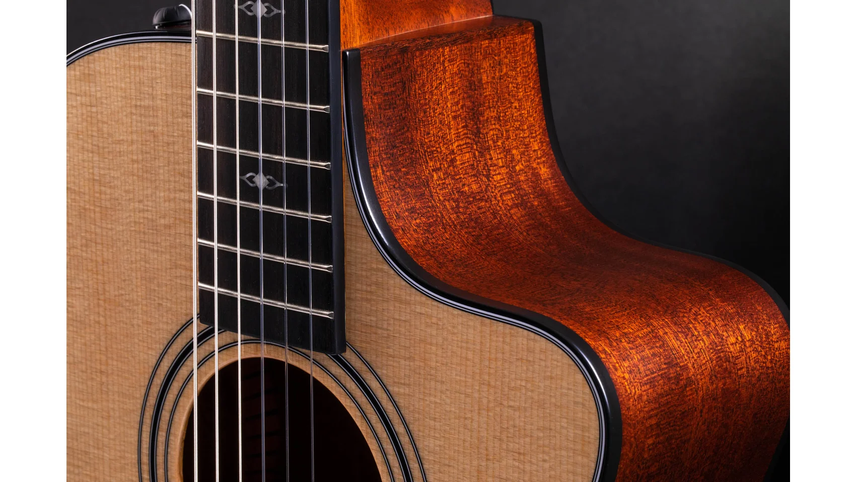 312ce-NSapeleアコースティック エレクトリック ギター | Taylor Guitars